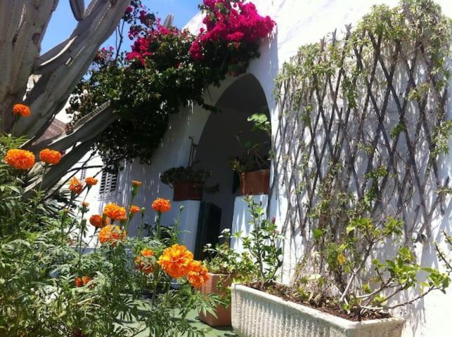Villa Tranquila Órzola Exterior photo